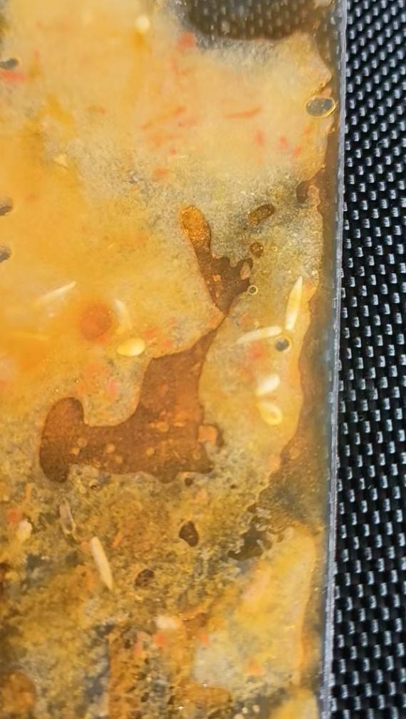 锅底料次日发现蛆虫当地监管部门已受理麻将胡了免费试玩消费者吃锅圈食汇火(图3)